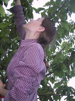 IMG_1955.JPG